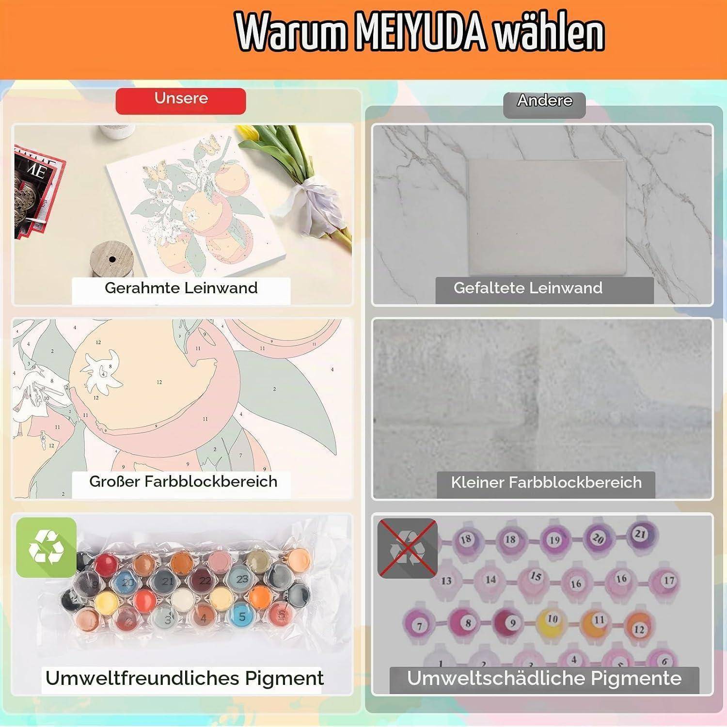 Vergleichsgrafik mit dem Titel „Warum MEIJUDA wählen