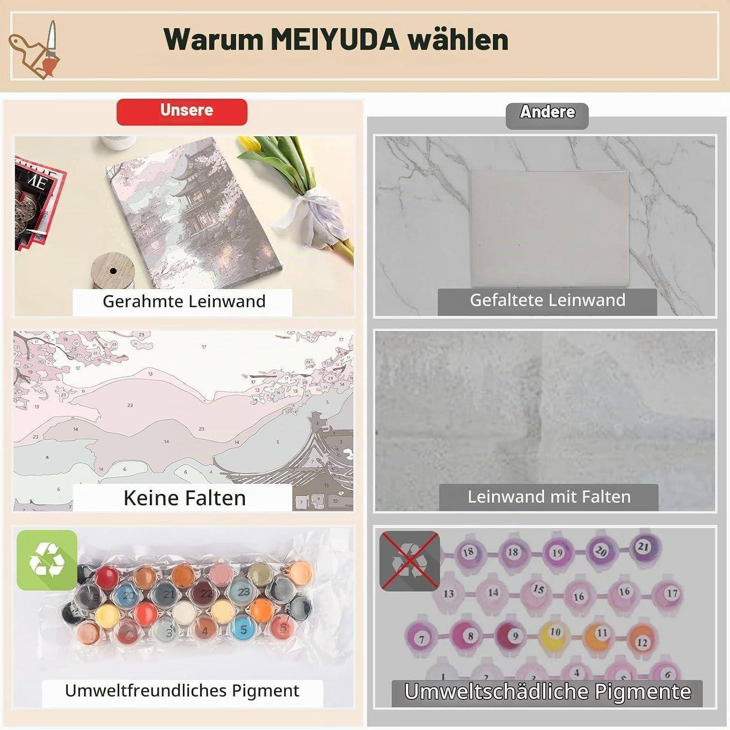 Vergleichs-Infografik mit dem Titel „Warum MEIYUDA wählen