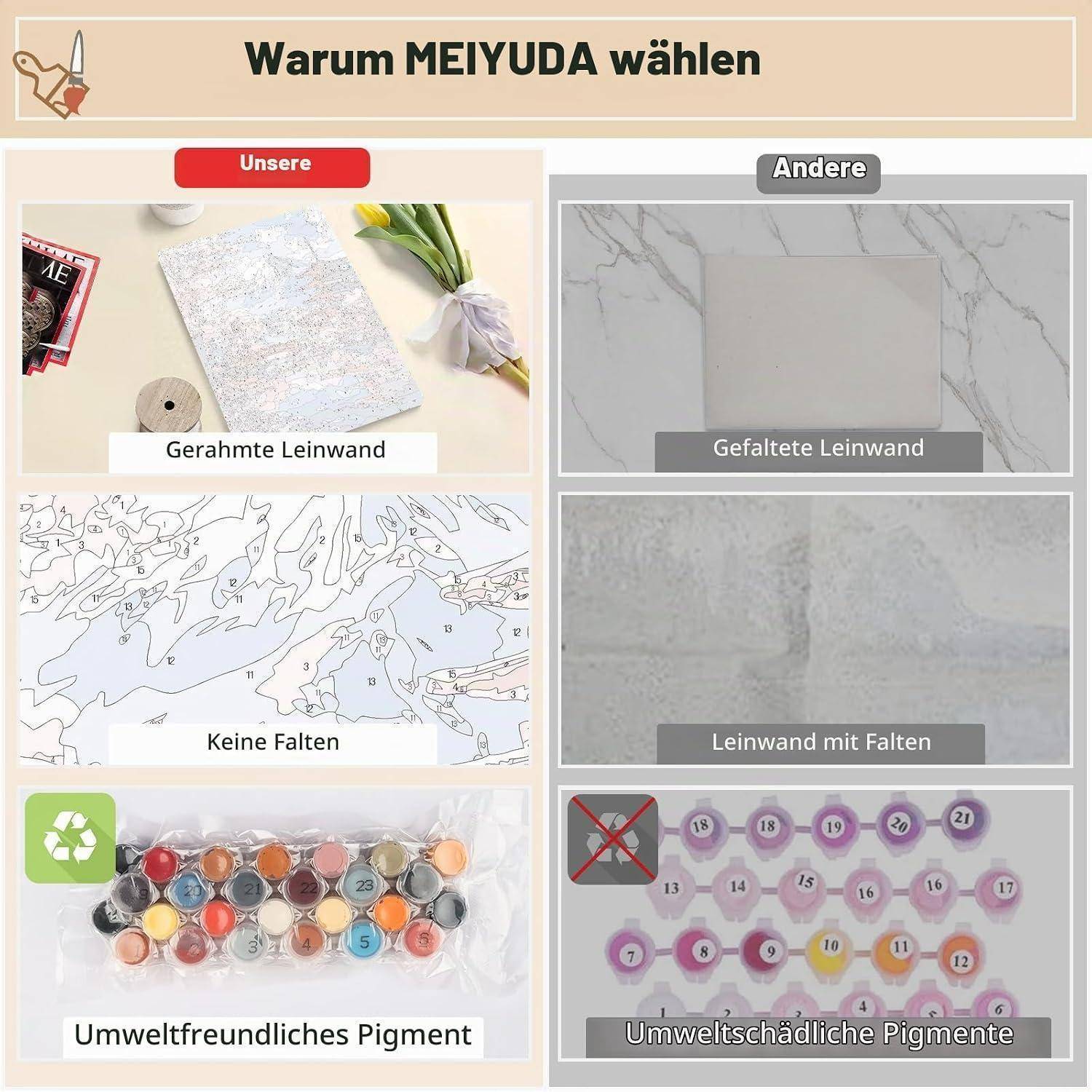 Vergleichsgrafik, die zeigt, warum „MEIYUDA