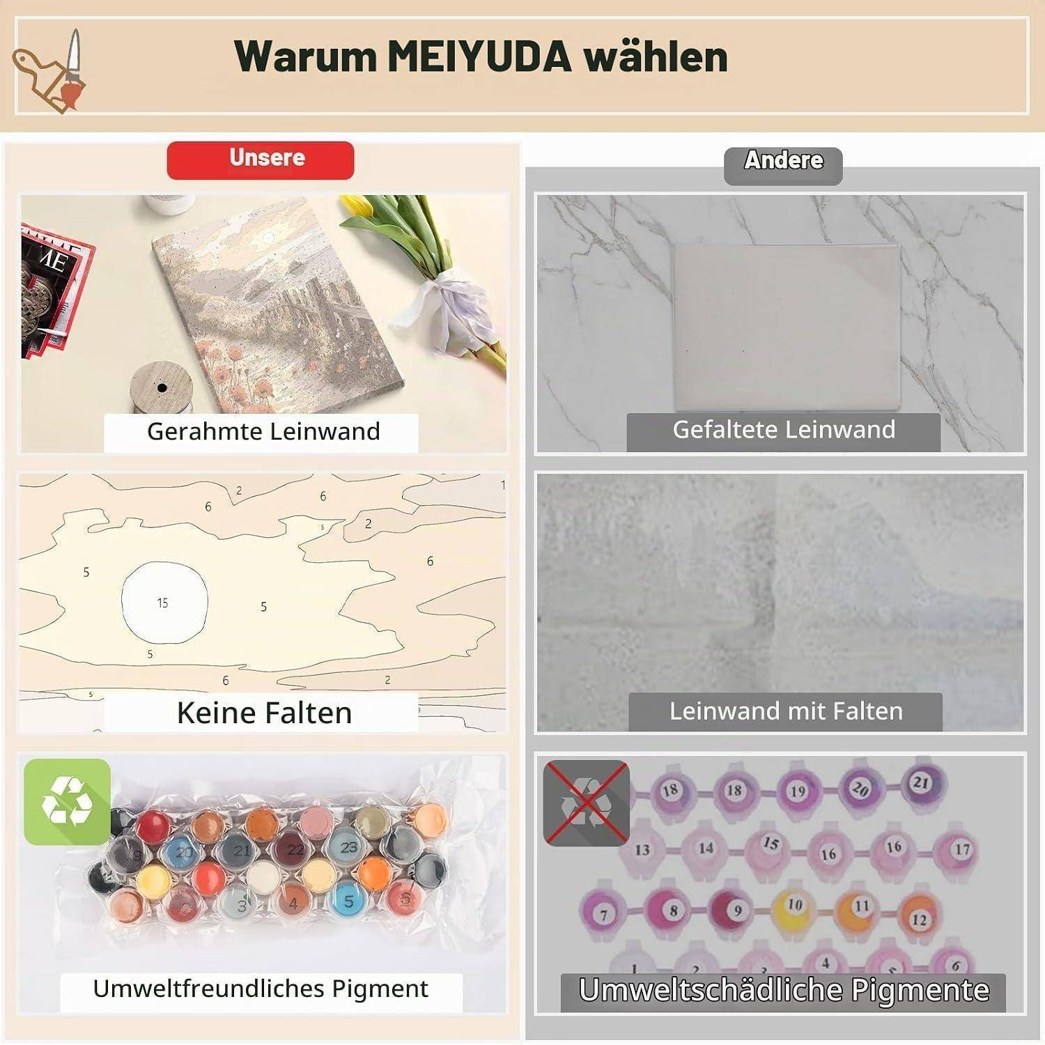 Vergleichsgrafik zeigt „Warum MEIJUDA wählen