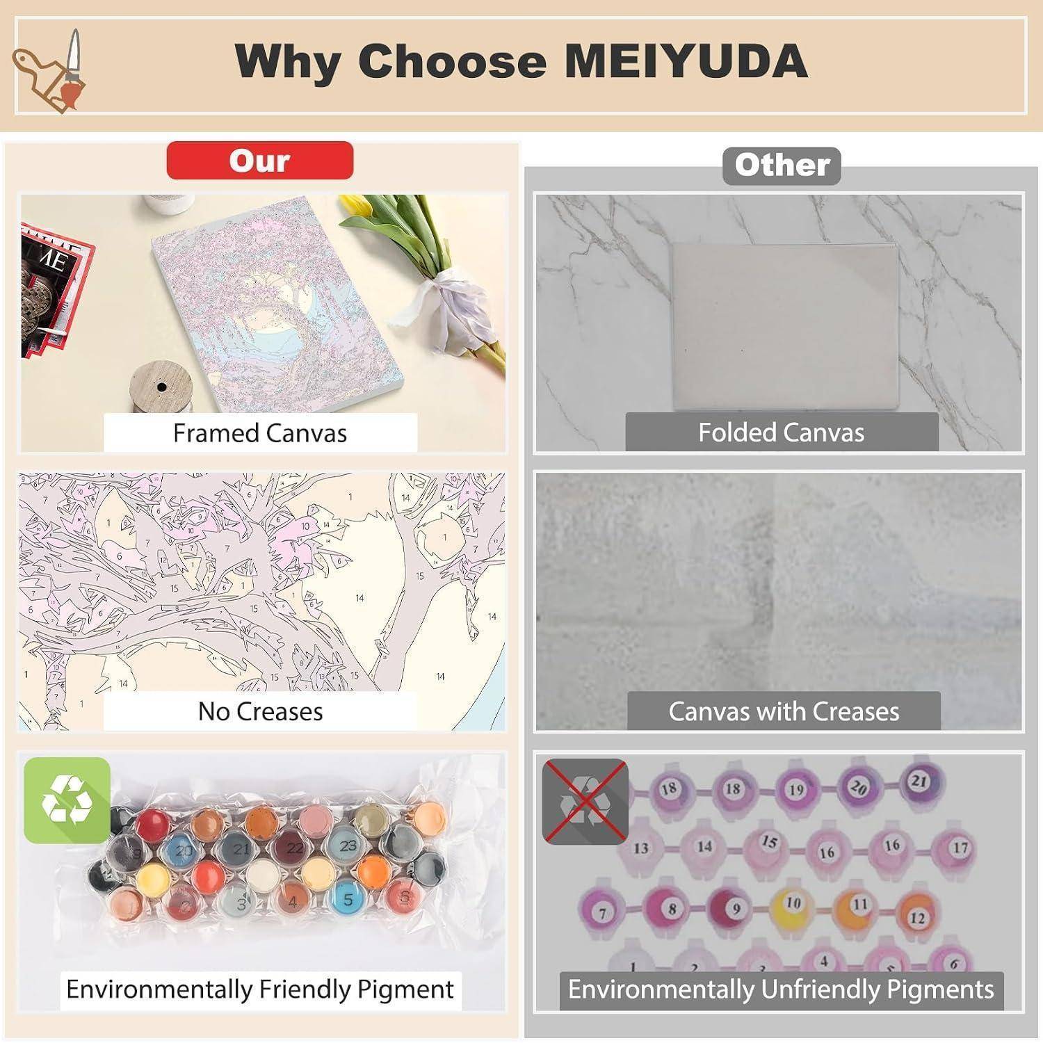 Vergleichs-Infografik mit dem Titel „Warum MEIYUDA wählen