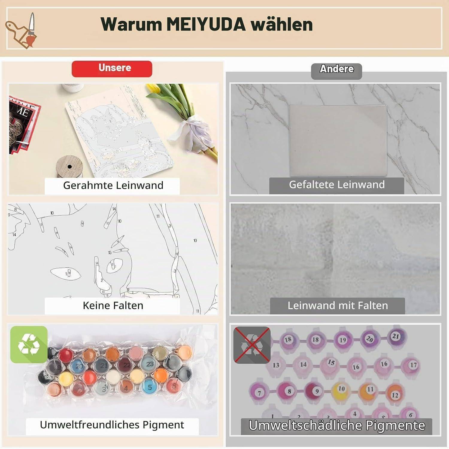 Vergleichsgrafik mit dem Titel „Warum MEYUDA wählen