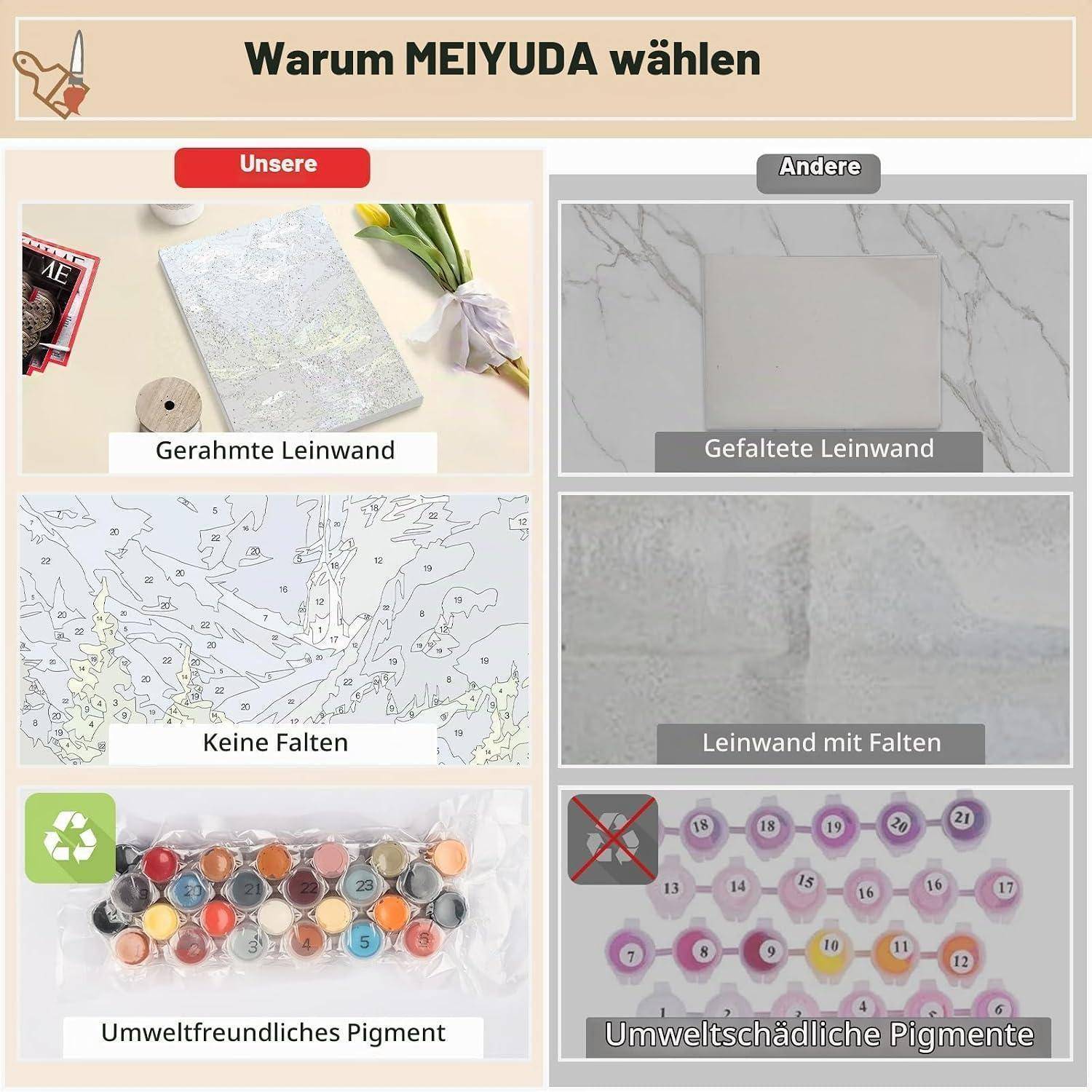 Vergleich-Infografik mit dem Titel „Warum MEIYUDA wählen