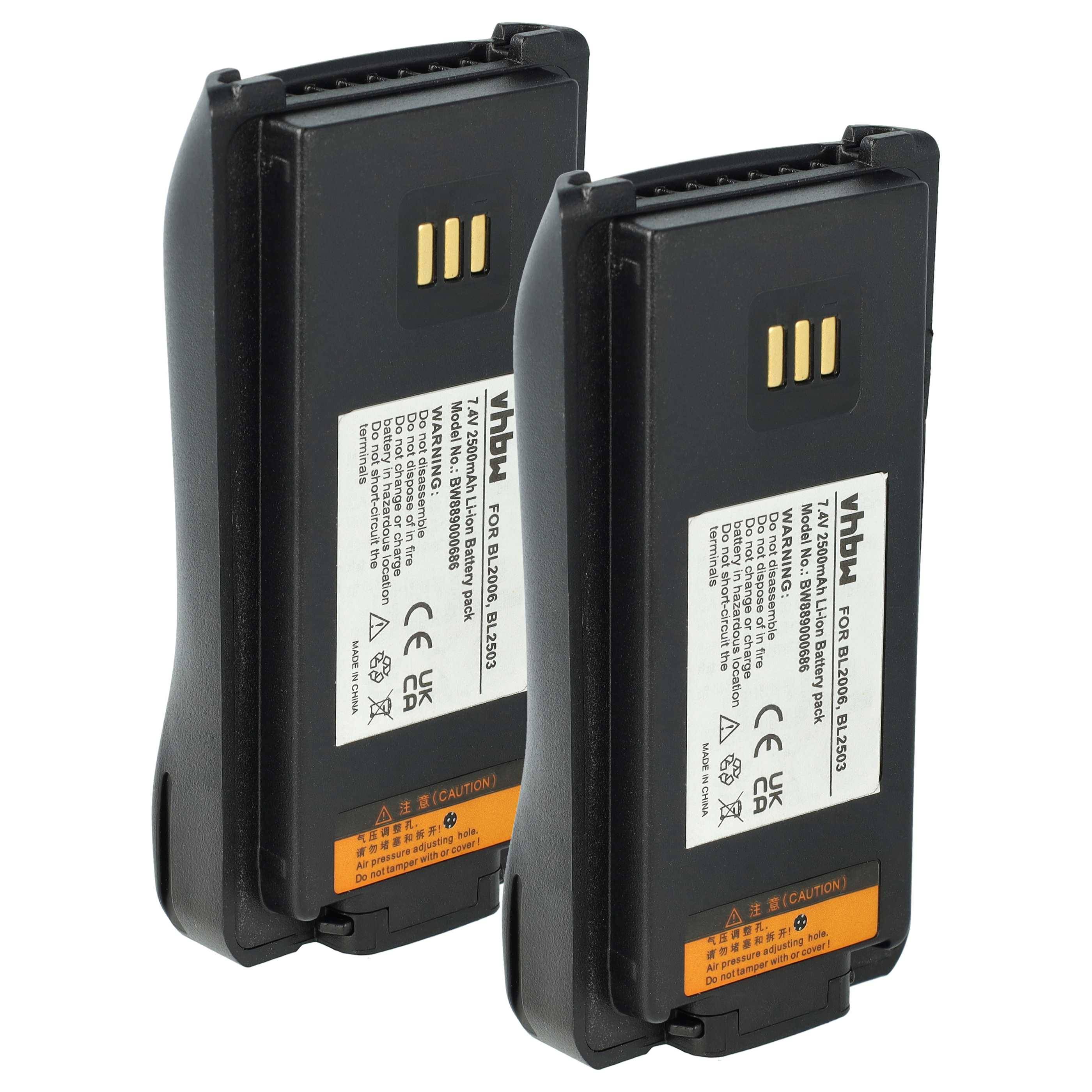 Zwei schwarze wiederaufladbare Akkupacks mit vergoldeten Kontaktterminals und weißen Etiketten, nebeneinander auf einem neutralen Hintergrund gezeigt.