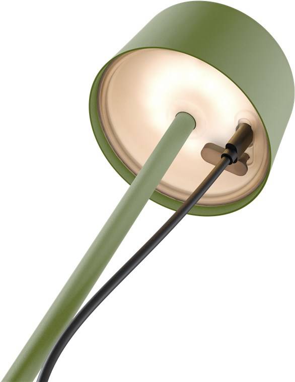 Grüne Schreibtischlampe von unten betrachtet, zeigt die leuchtende Unterseite des Lampenschirms mit dem Stromkabel und dem Stützschaft vor weißem Hintergrund.