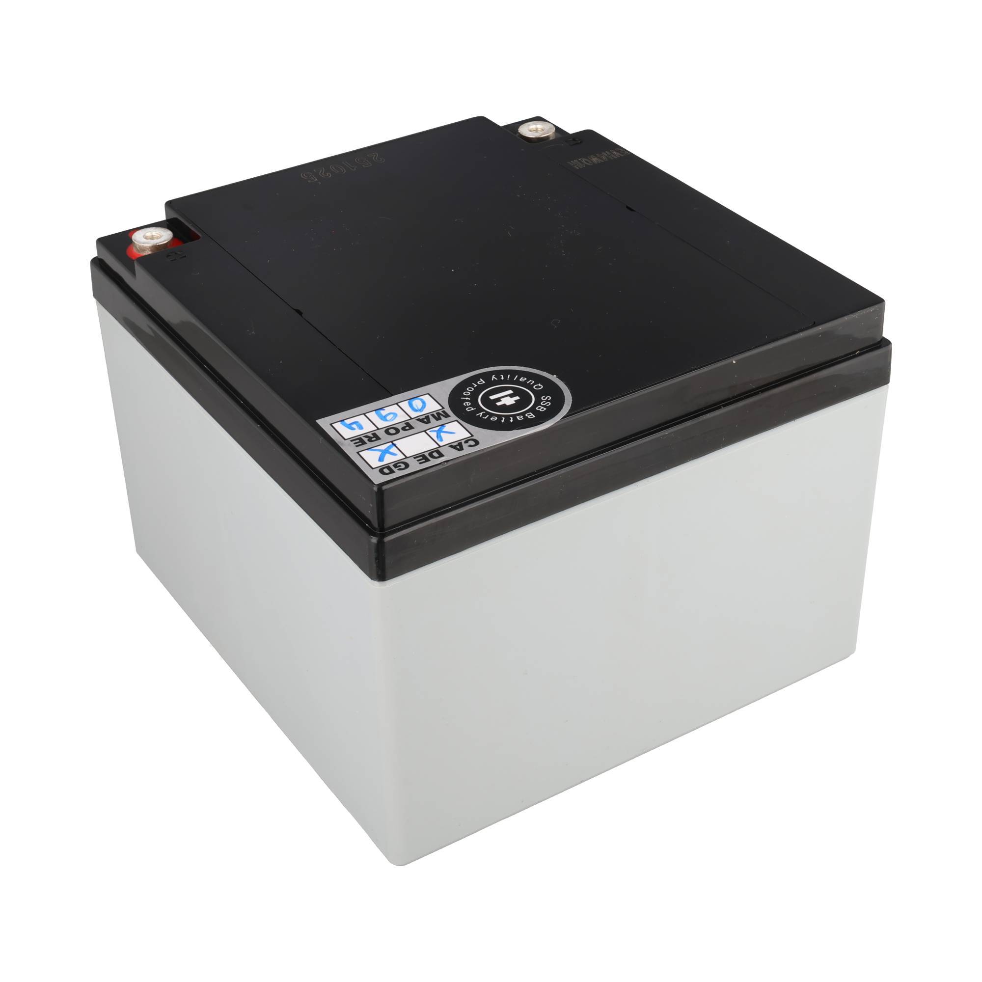Eine rechteckige versiegelte Bleisäure-Batterie mit schwarzer Oberseite, grauen Seitenflächen und sichtbaren positiven und negativen Anschlüssen.