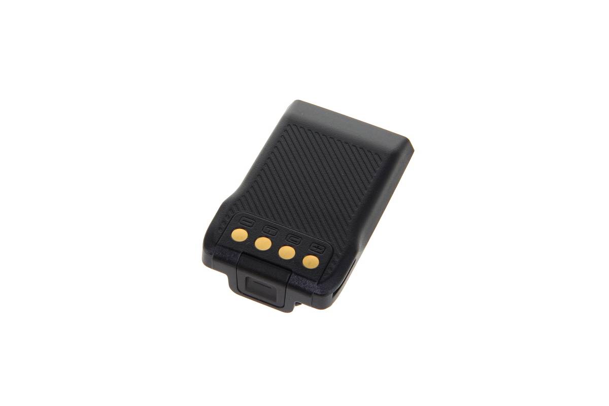 Kleine schwarze wiederaufladbare Batteriebox mit vier goldenen Kontakten auf weißem Hintergrund.