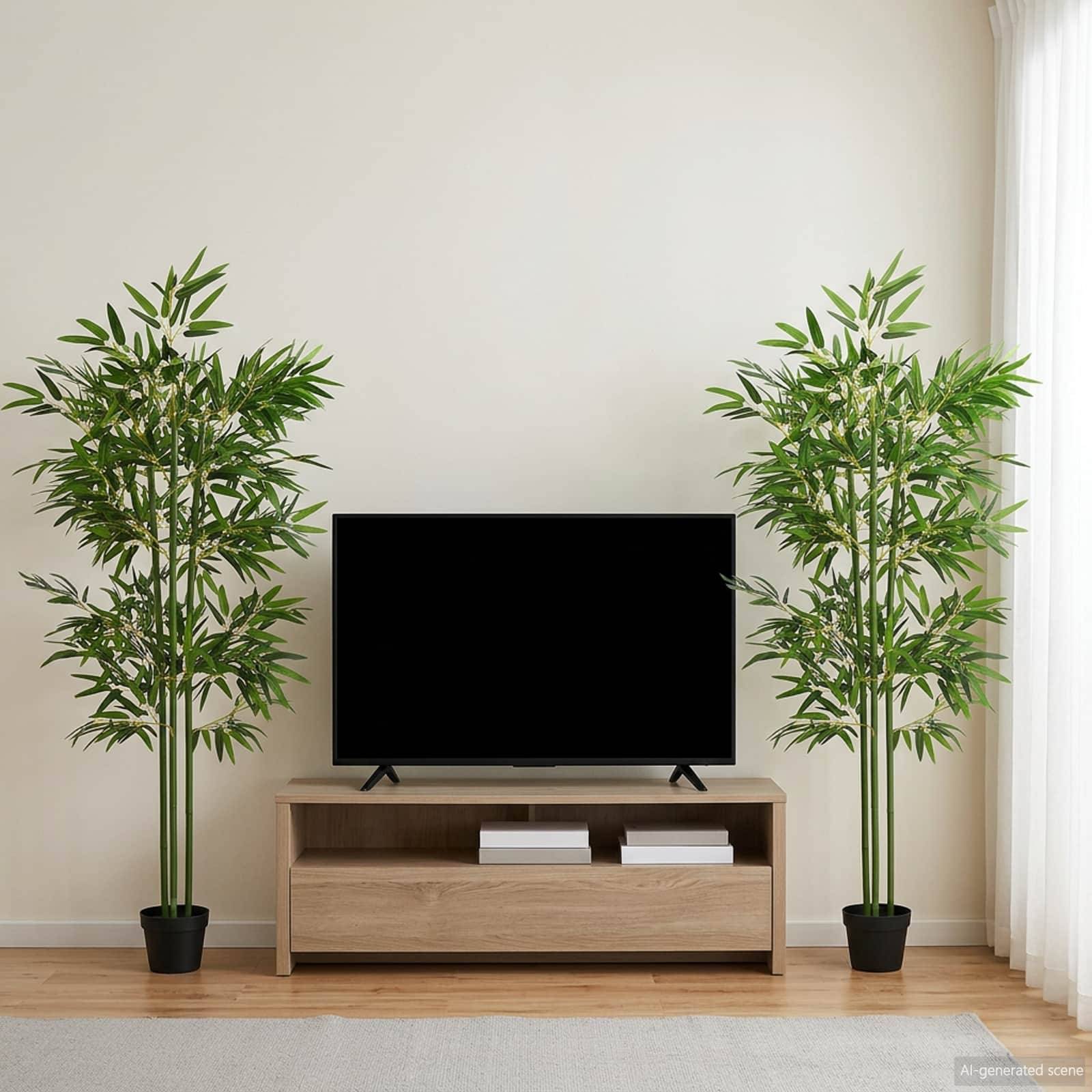 Modernes Wohnzimmer mit einem Flachbildfernseher auf einem Holzständer, flankiert von zwei hohen Topfpflanzen mit bambuähnlichem Aussehen vor einer schlichten Wand.