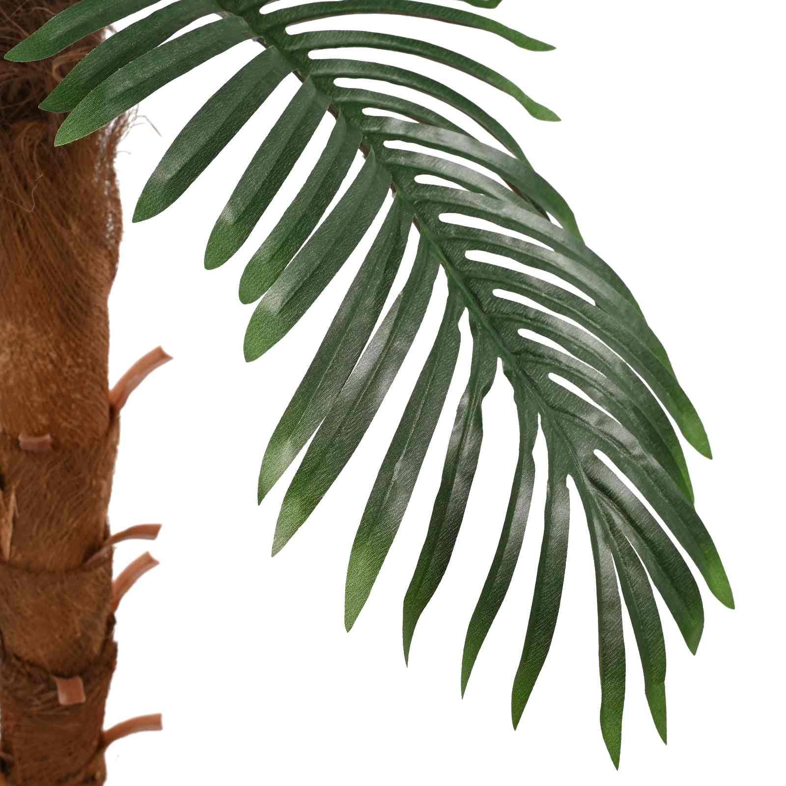 Nahaufnahme eines Palmenstammes mit einem grünen Blatt vor einem einfachen weißen Hintergrund.