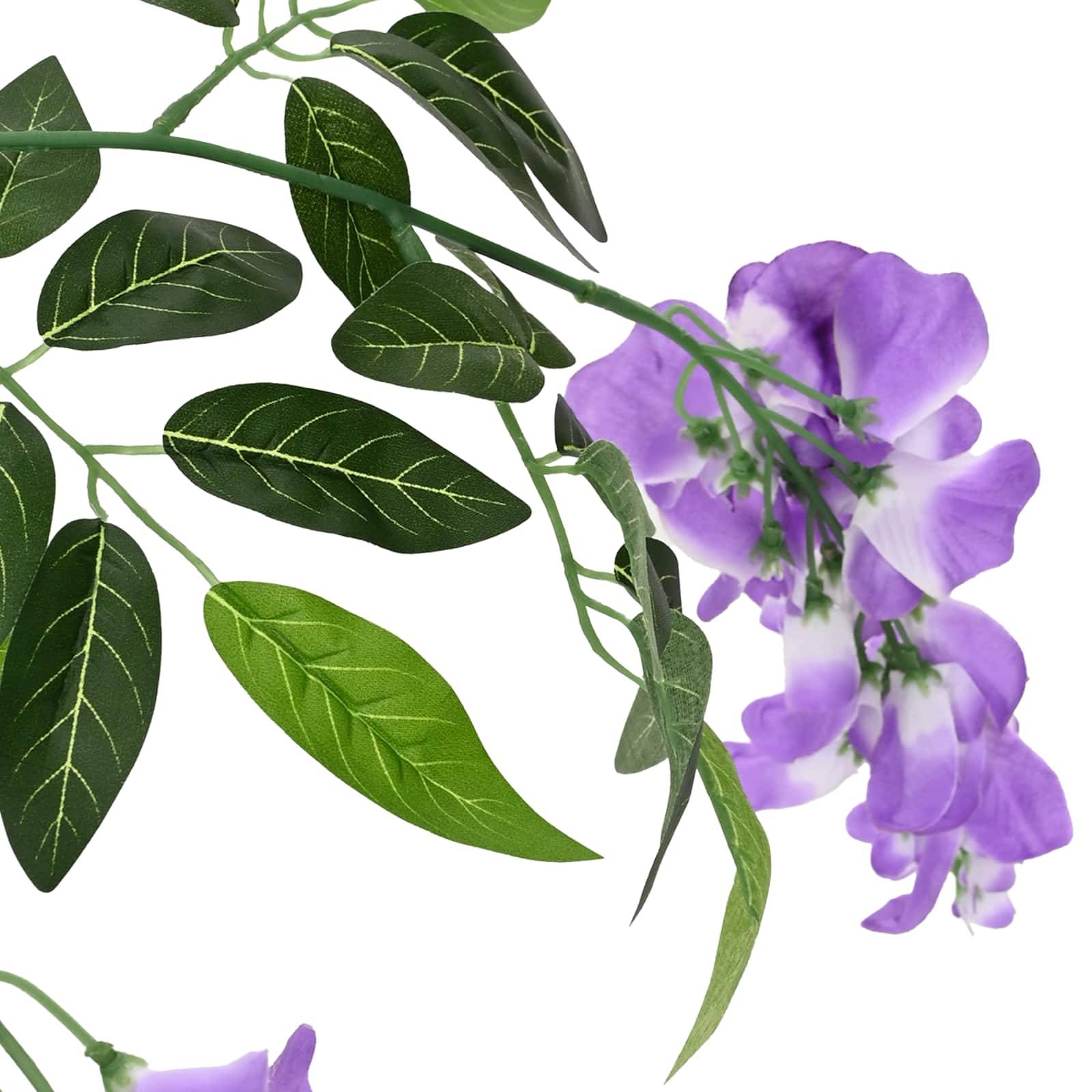 Violette Blüten auf einem laubigen grünen Pflanzenzweig vor weißem Hintergrund.