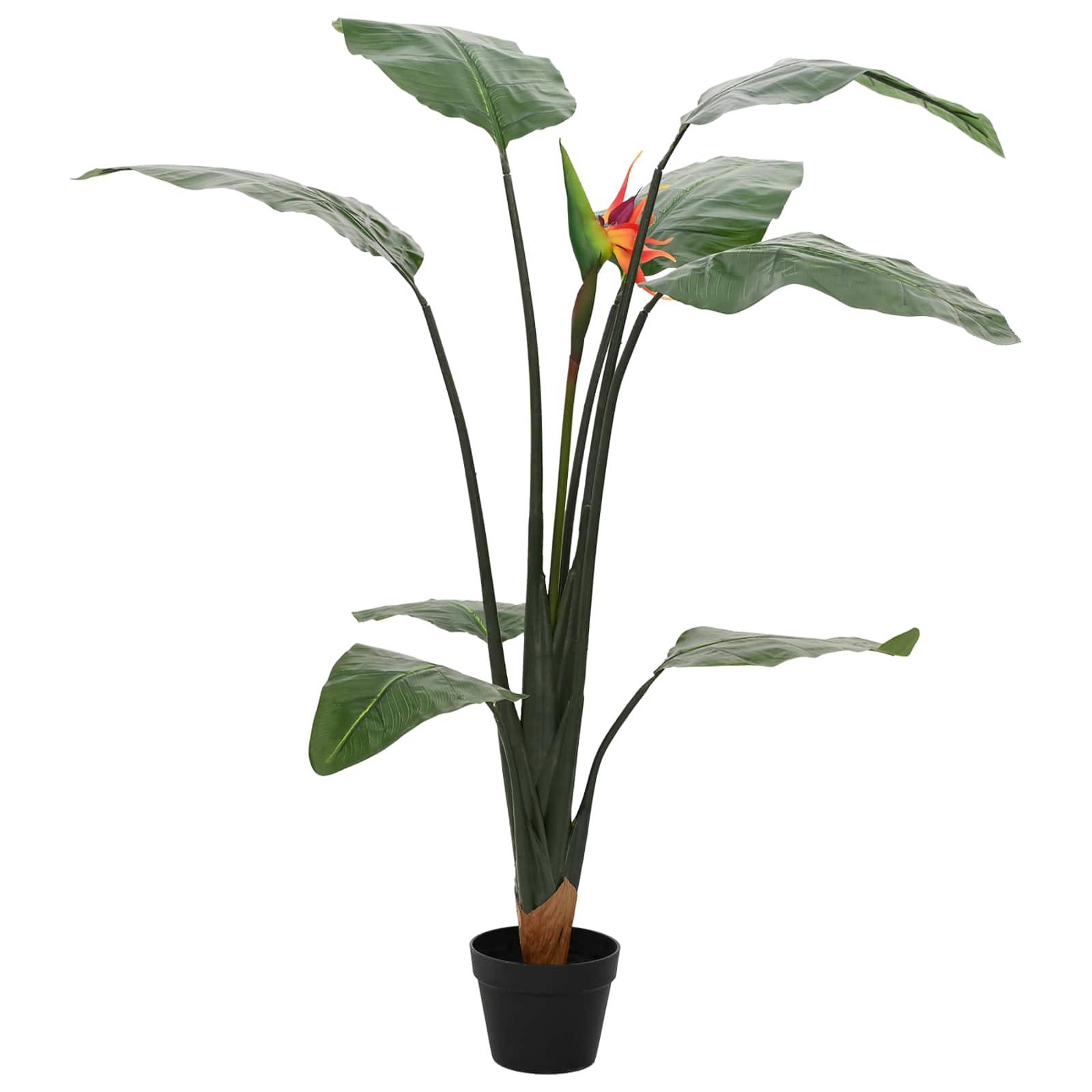 Getopfte tropische Paradiesvogelblume mit hohen grünen Blättern und einer orange-roten Blüte auf weißem Hintergrund.