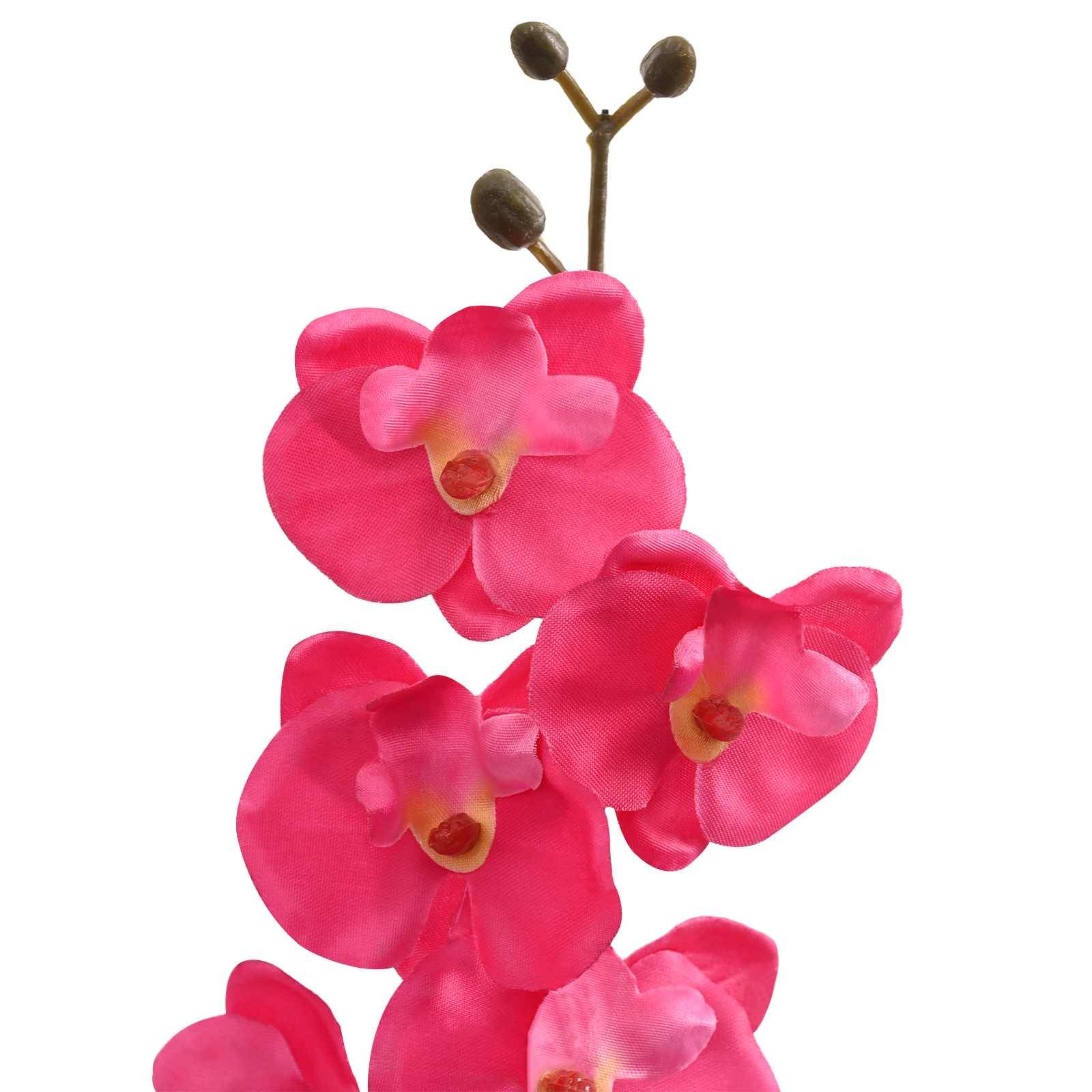 Nahaufnahme von drei leuchtend rosa Orchideenblüten auf einem Stiel vor weißem Hintergrund.