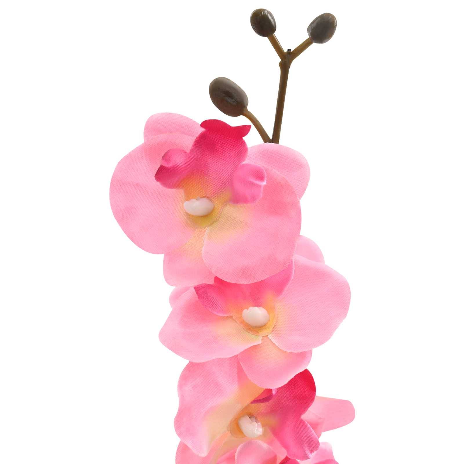Nahaufnahme von rosa Orchideenblüten auf einem Stiel vor weißem Hintergrund.