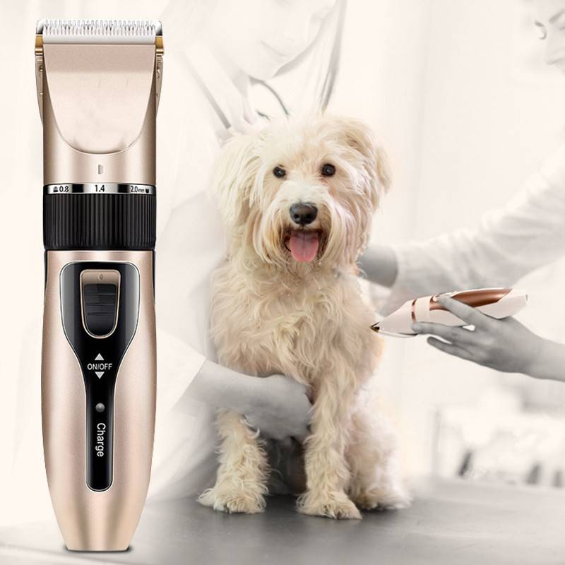 Tierpflege-Trimmer neben einem kleinen flauschigen Hund, der von behandschuhten Händen in einer Salonumgebung gepflegt wird.