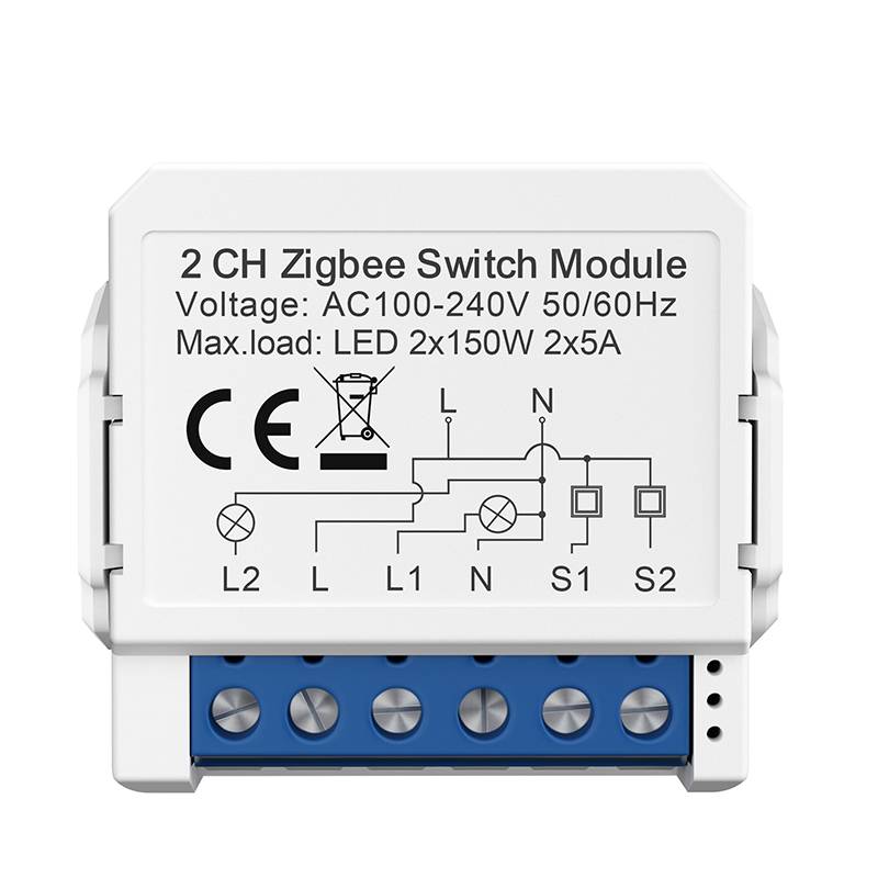 ZigBee Smart Switch Modul - 2 Gang, Weiß, Mini-Größe