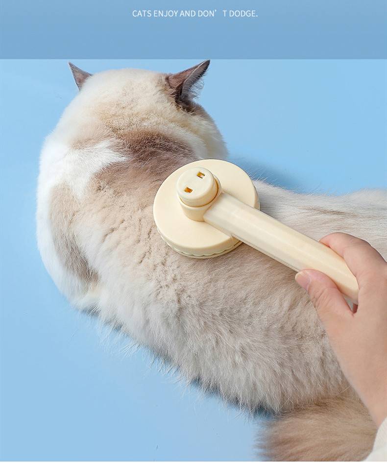 Eine tragbare Fusselrolle entfernt Fell von dem Rücken einer Katze vor hellblauem Hintergrund, mit Text oben, der sagt: „KATZEN MÖGEN ES UND WEICHEN NICHT AUS.