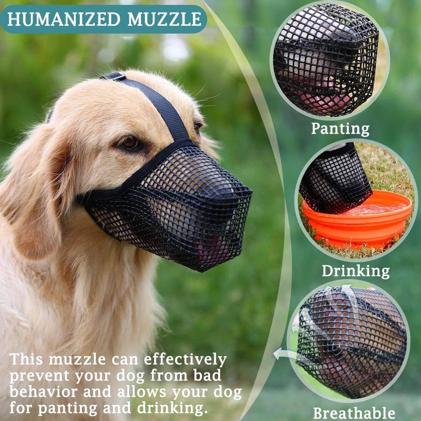 # Golden Retriever mit schwarzem Mesh-Hundemaul, beschriftet mit „HUMANIZED MUZZLE