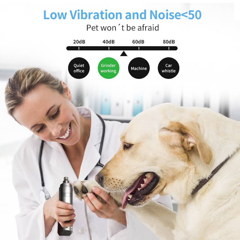 Werbegrafikbild eines Tierarztes, der einen leisen Krallenschleifer auf einer Hundepfote verwendet, mit Text „Geringe Vibration und Lärm 