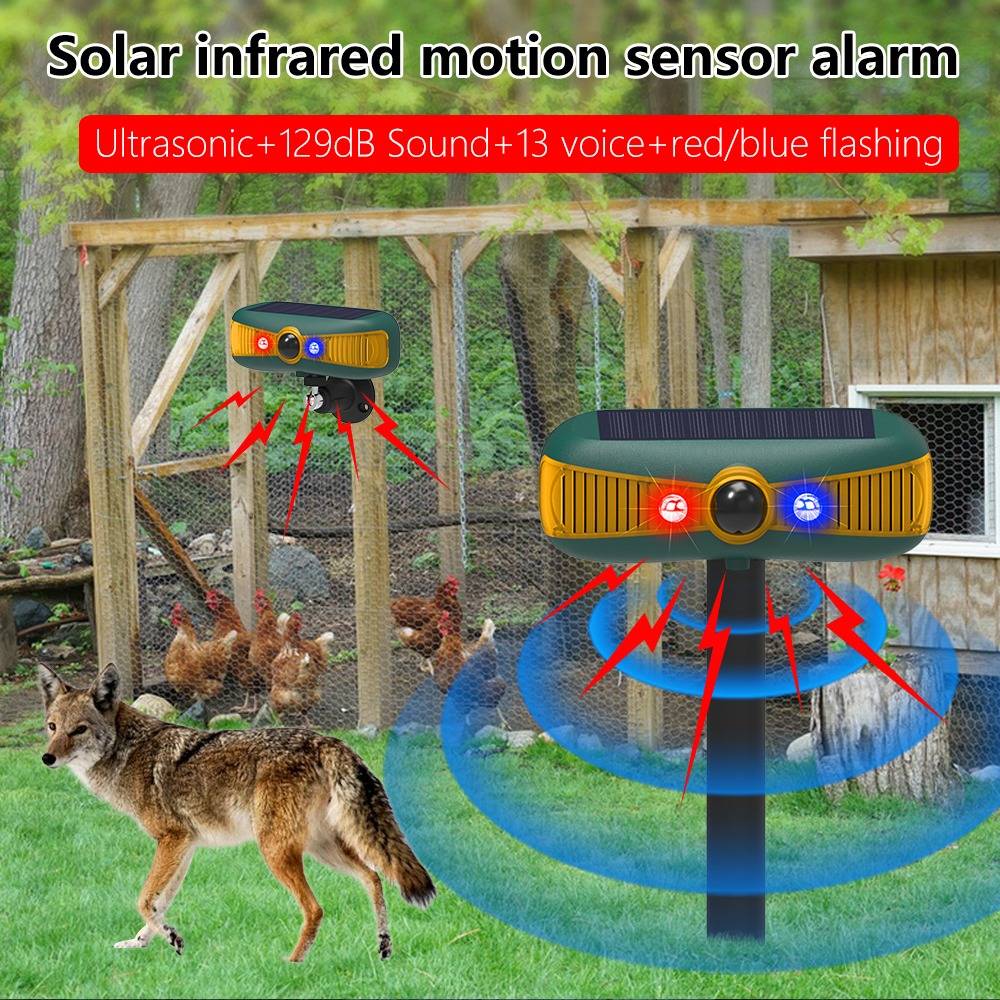 Werbebild eines solaren Infrarot-Bewegungsmelder-Alarms mit roten und blauen blitzenden Lichtern, 129dB-Ton und Sprachalarmen, die einen Kojoten in der Nähe eines Hühnerstalls abhält.