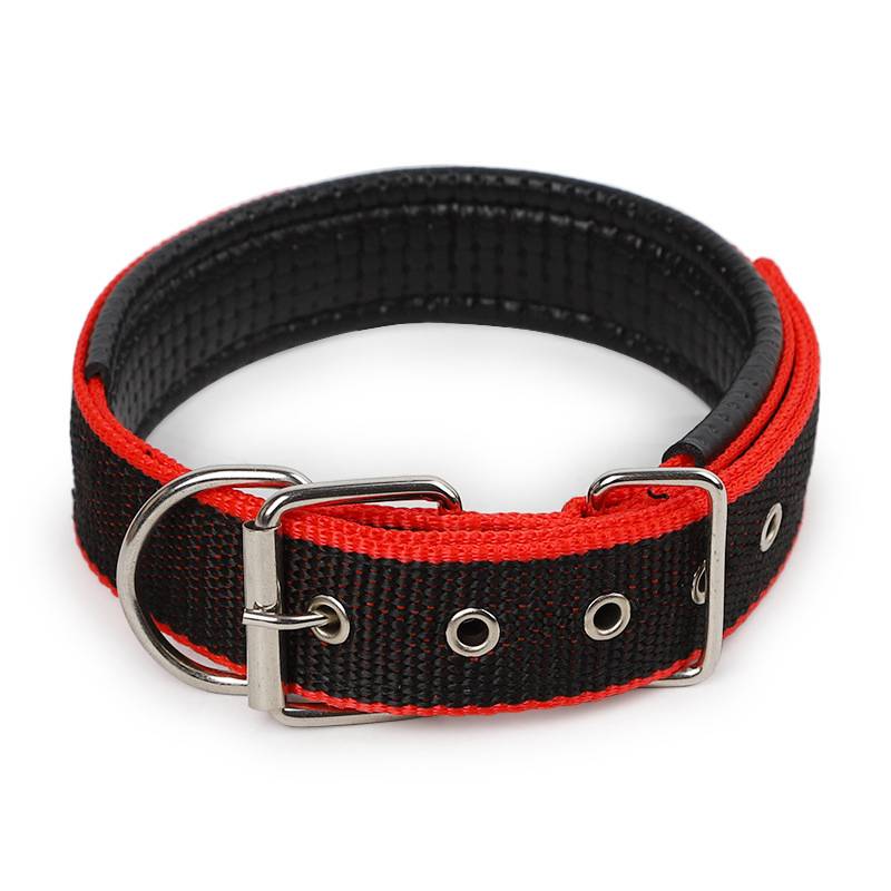 Schwarzes und rotes Nylon-Hundehalsband mit Metallschnalle und D-Ring auf weißem Hintergrund.