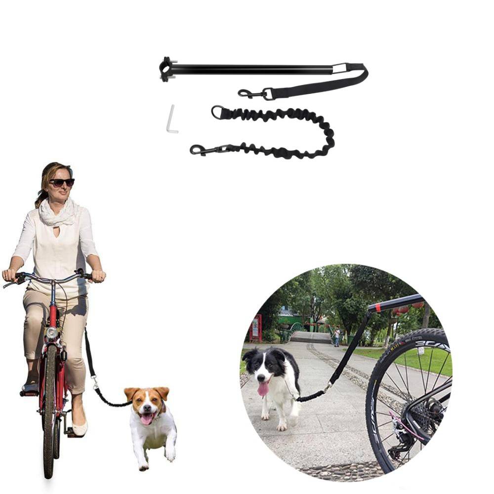 Das Fahrradzubehör zur Hundeleine ermöglicht es einer Frau, mit dem Fahrrad zu fahren, während sie einen Hund sicher an der Leine führt; die Vergrößerung zeigt die Leine, die an einem Fahrrad befestigt ist, mit einem Hund daneben.