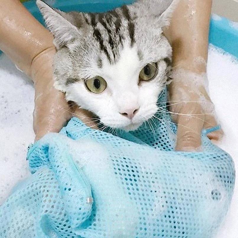 Eine Katze, die in einem Waschbecken gebadet wird, von Händen gehalten und in einen blauen Mesh-Waschlappen gewickelt.