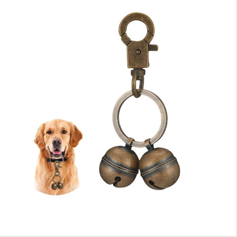 Hundehalsband-Glocken-Zubehör mit zwei Messingglocken, die an einem Ring befestigt sind, neben einem Goldenretriever-Kopf zur Größenangabe dargestellt.