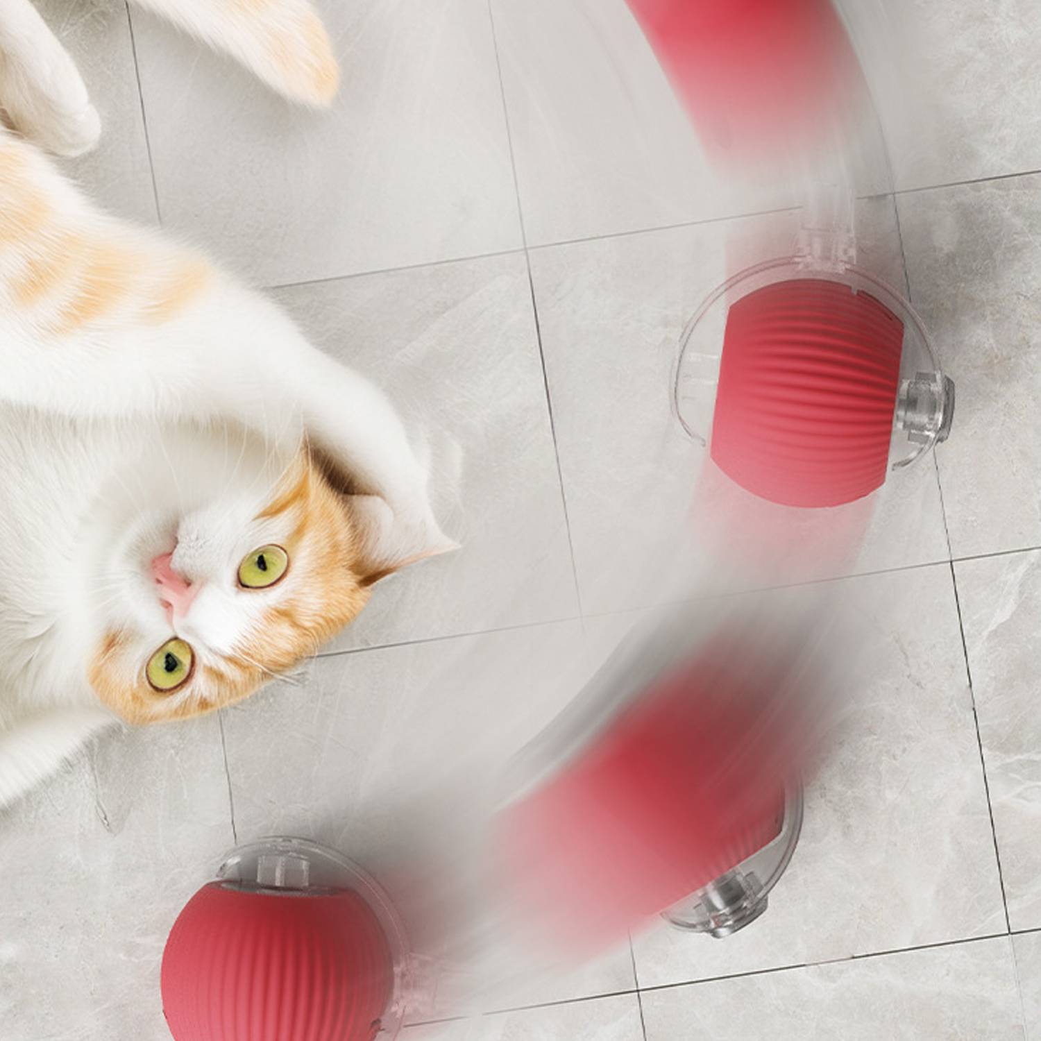 Draufsicht auf eine orange-weiße Katze neben einem rotierenden roten Deckenventilator, der einen verschwommenen Bewegungseffekt erzeugt.