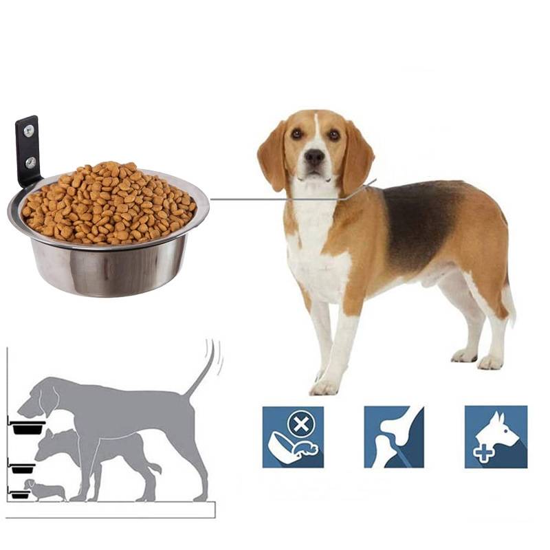 Beagle neben einer erhöhten Hundefutterschüssel, mit Symbolen, die antirutschendes Füttern, Gelenkunterstützung und tierfreundliches Design andeuten.