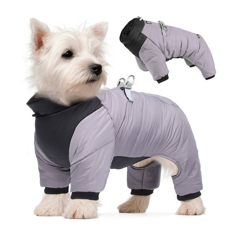 Weißer Hund, der einen grau-schwarzen isolierten Kapuzen-Schneeanzug trägt, mit einer kleineren eingefügten Ansicht des Anzugs allein auf weißem Hintergrund.