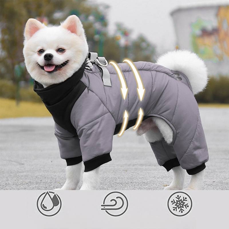 Kleiner weißer Hund, der einen grauen Winter-Overall mit reflektierenden Streifen trägt, gezeigt im Freien; Symbole weisen auf wasserdicht, winddicht und warme Isolierung hin.