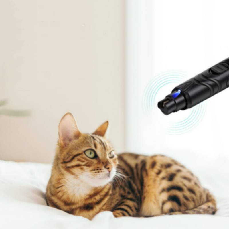 Eine Katze, die auf einem Bett liegt, schaut auf ein schwarzes tragbares Gerät, das blaue Wellen aussendet, was auf ein Haustiertrainings- oder Beruhigungsmittel hindeutet.