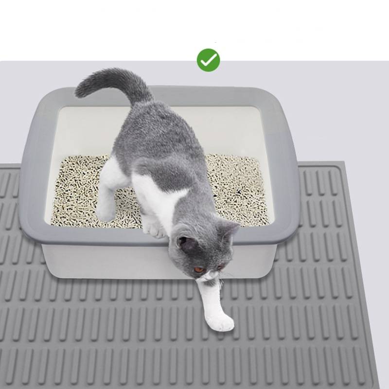 Grau-weiße Katze, die aus einer Katzentoilette auf eine Matte tritt, mit einem grünen Häkchen oben, das die korrekte Nutzung anzeigt.