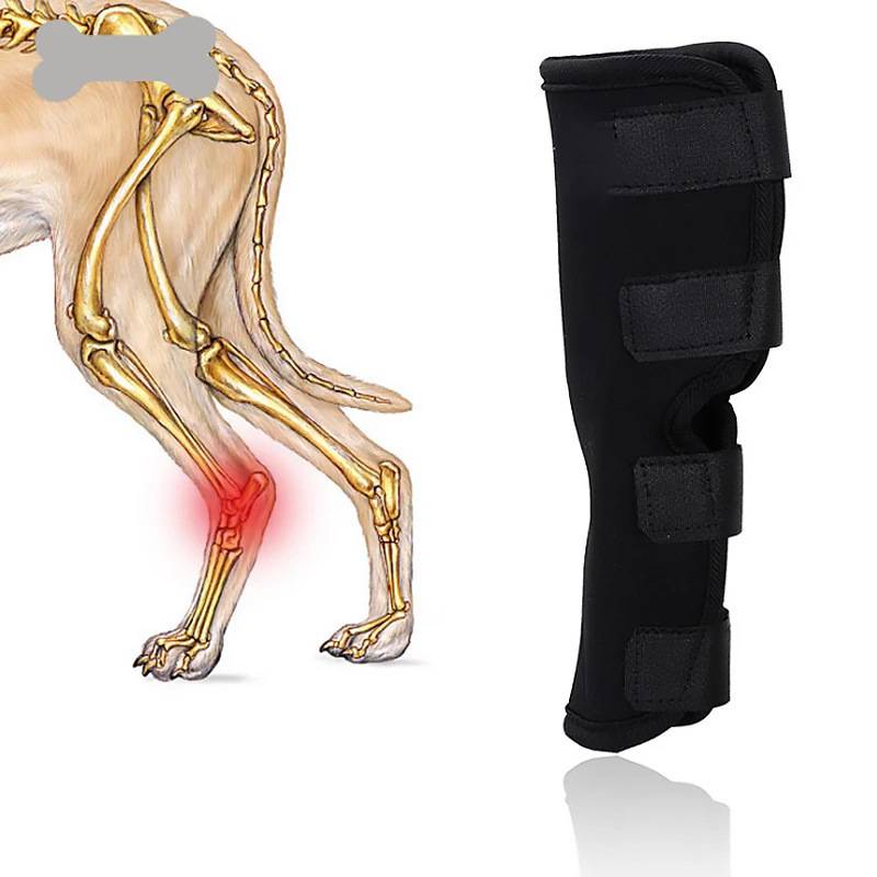 Schwarze Kniebandage neben einer Hundebein-Skeletgrafik mit dem Knie rot hervorgehoben, was auf Beinunterstützung oder Verletzung hinweist
