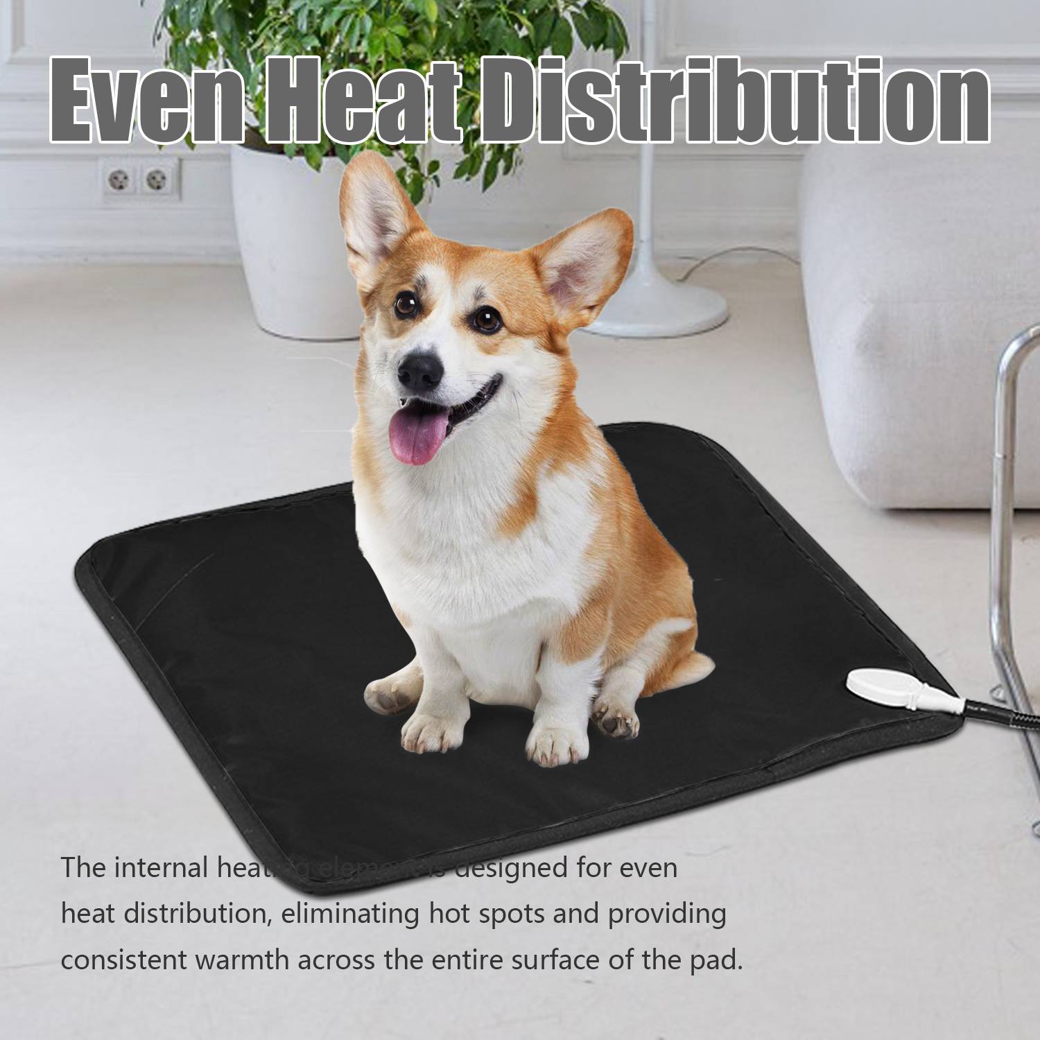 Ein Corgi sitzt auf einer schwarzen beheizten Haustiermatte in einem hellen Raum und zeigt gleichmäßige Wärmeverteilung und gleichbleibende Wärme auf der Matte.