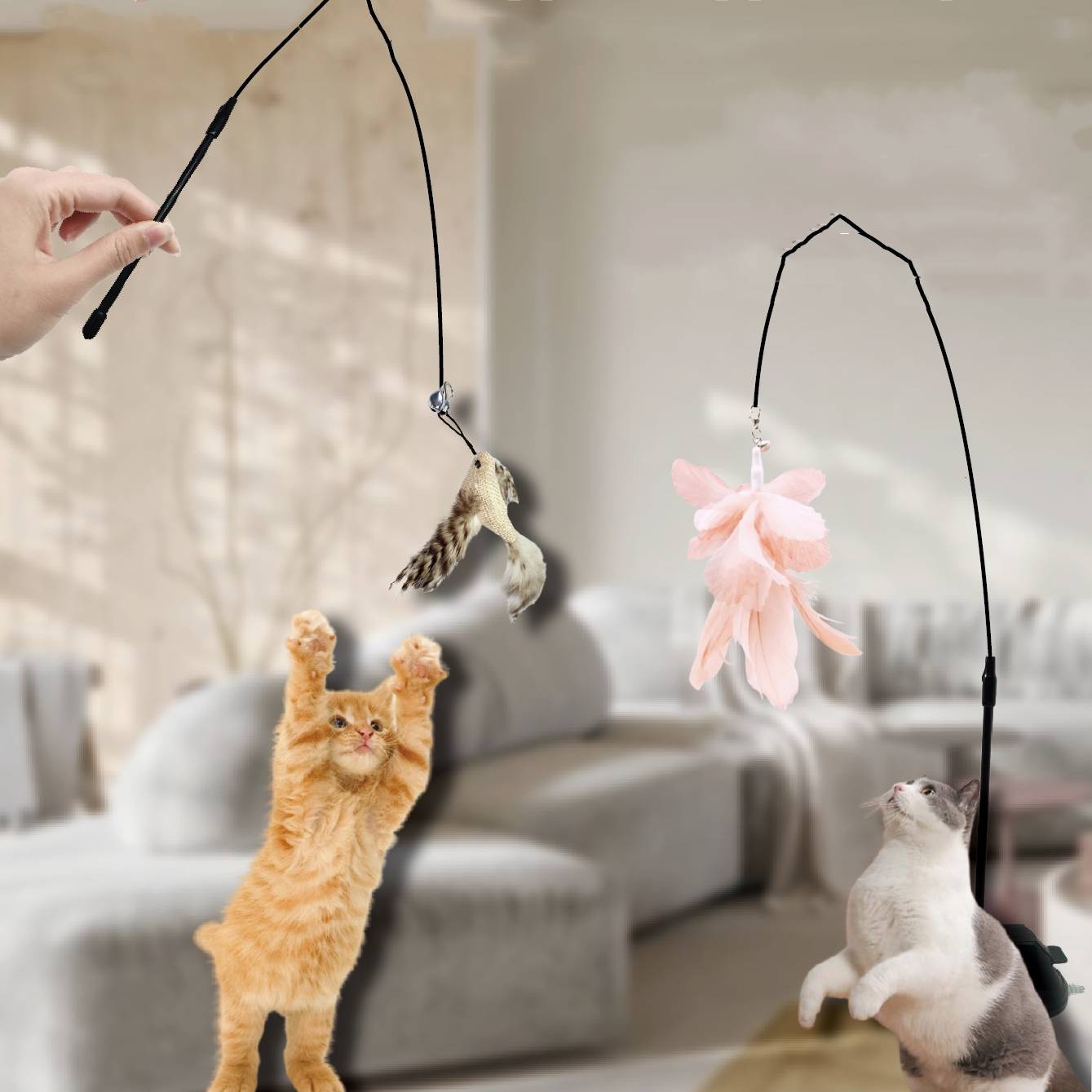 Zwei Katzen stehen in einem Wohnzimmer auf den Hinterbeinen und greifen nach baumelnden Federsspielzeugen, die von Händen über ihnen gehalten werden.