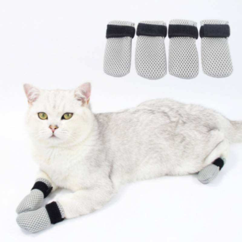 Weiße Katze, die auf ihrer Seite liegt und graue Mesh-Stiefel an allen vier Pfoten trägt, mit einer Reihe von vier passenden Stiefeln, die oben abgebildet sind.