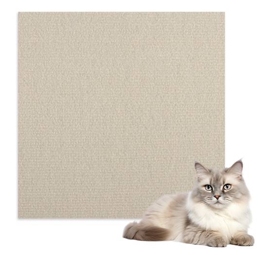 Flauschige grau-weiß gefleckte Katze, die neben einem leeren beigen quadratischen Panel auf weißem Hintergrund liegt.