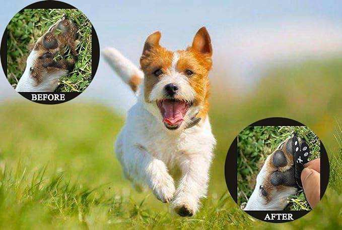 Glücklicher Hund läuft auf Gras, mit Vorher-und-Nachher-Nahaufnahmen, die seine Pfote zeigen, aus der eine Zecke oder ein Insekt entfernt wird.