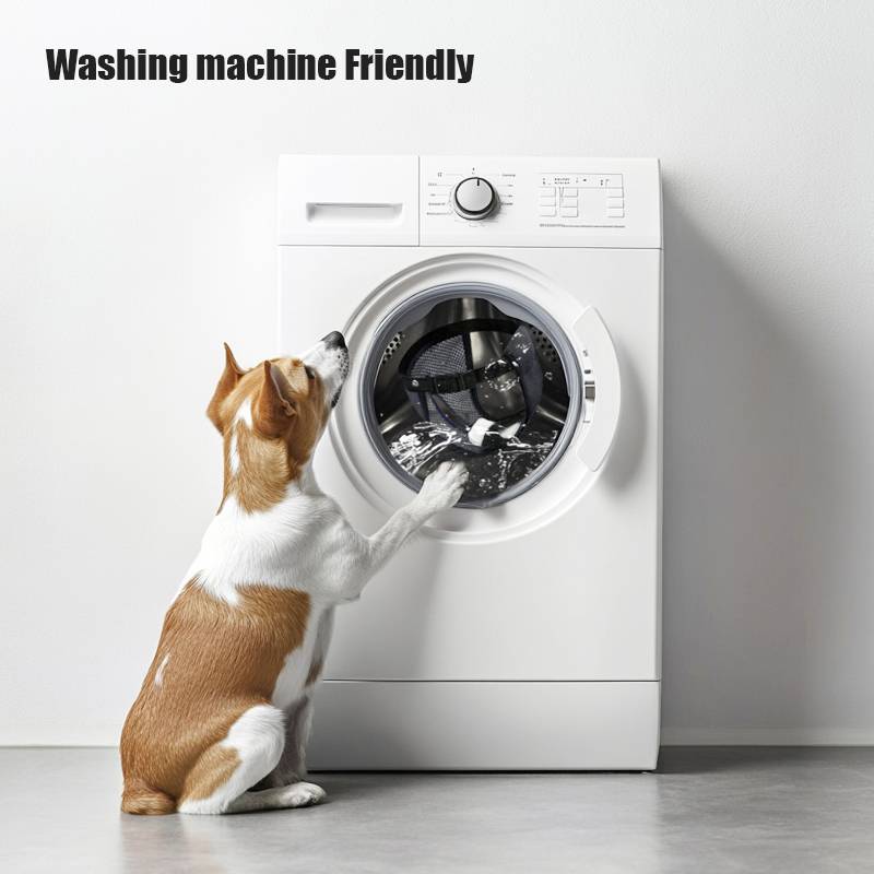 Hund neben Frontlader-Waschmaschine mit Vordertext „Waschmaschinenfreundlich