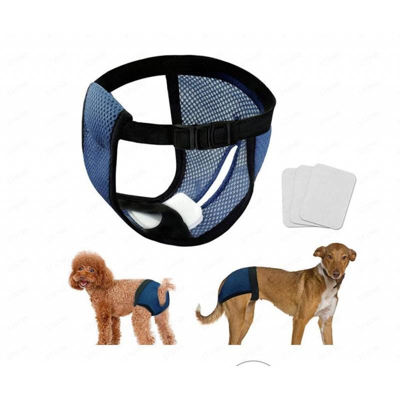 Hundewindel mit verstellbarem blauem Netzgeschirr, dargestellt mit Klebepolstern und zwei Hunden, die es tragen.