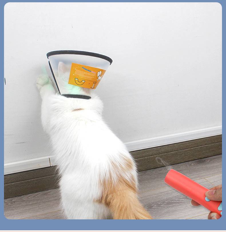 Weiße Katze mit elisabethanischem Schutzenkragen wird gepflegt, während eine Hand einen roten Haustiertrimmer in der Nähe hält.
