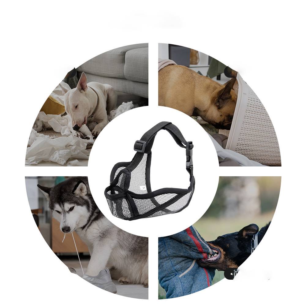 Schwarzes Netz-Hundegeschirr zentriert in einer kreisförmigen Collage aus vier Hunden, die Geschirre tragen oder mit ihnen interagieren, wobei Passform und Verwendung gezeigt werden.