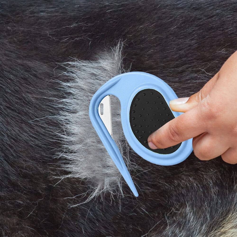 Hand mit einer blauen Haustierpflegenbürste, um lockeres Fell aus dem Fell eines schwarzweißen Tieres zu entfernen.