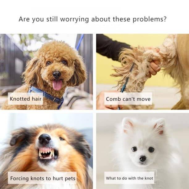 Vierpanel-Warngrafiik zur Tierpflege: Hund mit verwickeltem Fell, Kamm bleibt in verfilztem Fell stecken, Haustier verletzt durch erzwungenes Entfernen von Knoten, und ein weißer Welpe mit einem Knoten.