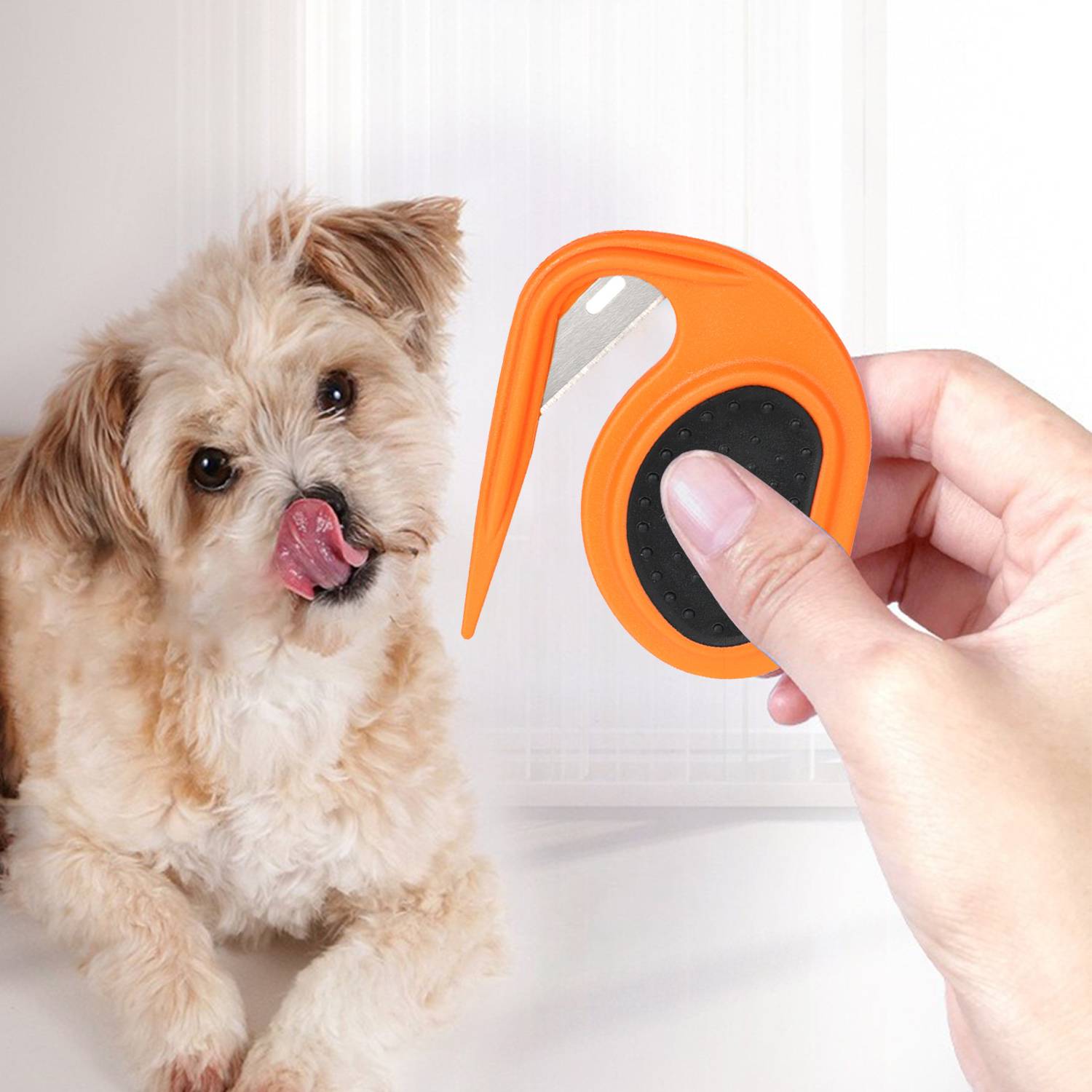 Kleiner fluffiger Hund, der sich die Nase leckt, während eine Hand einen orangefarbenen ausziehbaren Tierhaarentferner oder eine Fusselrolle in der Nähe hält.
