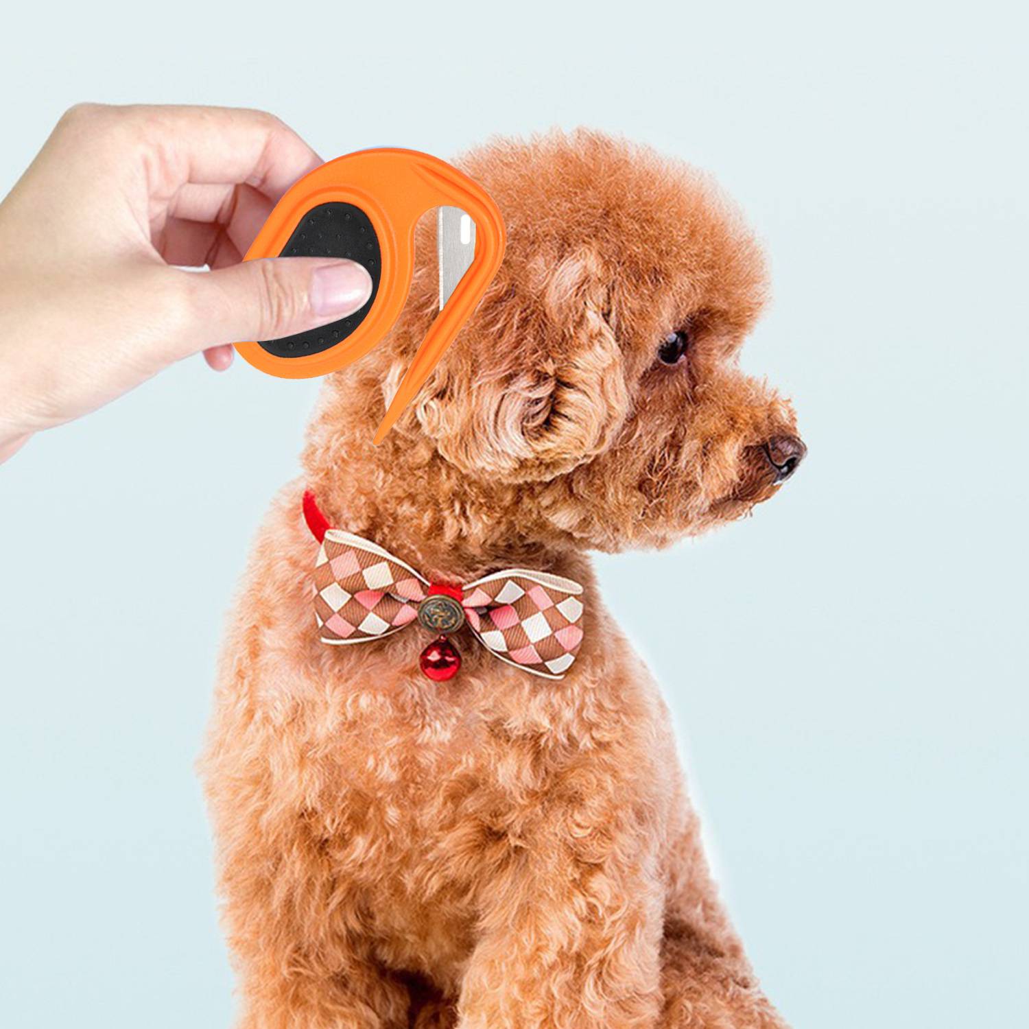 Ein kleiner brauner Pudel wird mit der Hand gebürstet und trägt ein dekoratives Schleifenhalsband. Das Pflege-Werkzeug hat eine orange Farbe und der Hintergrund ist hellblau.