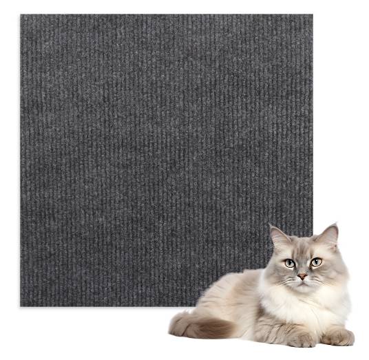 Hellgraue flauschige Katze, die neben einem dunkelgrauen strukturierten Stoffquadrat auf weißem Hintergrund liegt.