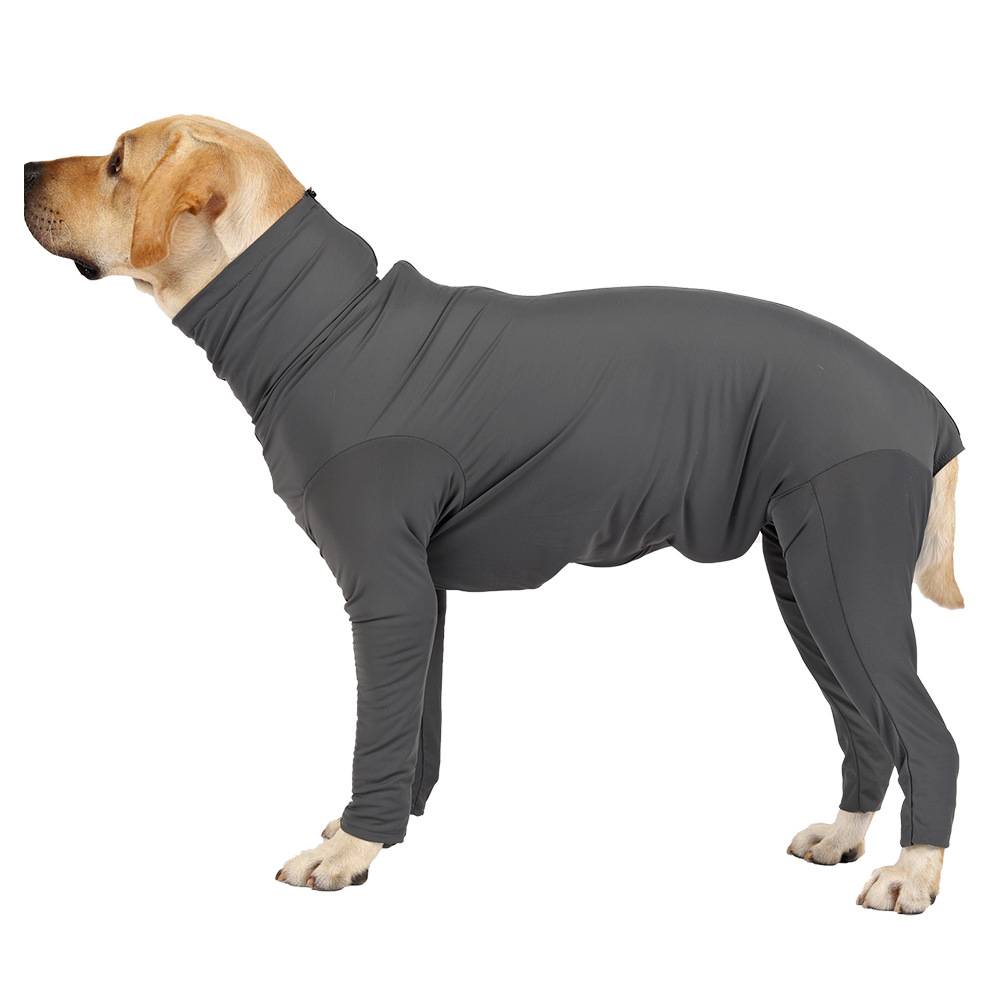 Ein stehender Labrador Retriever, der einen dunkelgrauen Ganzkörper-Hundeanzug trägt, vor einem schlichten weißen Hintergrund.