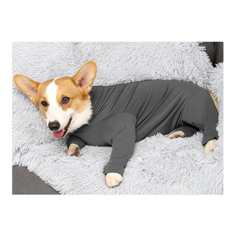 Ein Corgi-Hund in einem dunkelgrauen Ganzkörper-Genesungsanzug liegt auf einem flauschigen hellgrauen Bett, mit freiliegendem Gesicht und Pfoten.